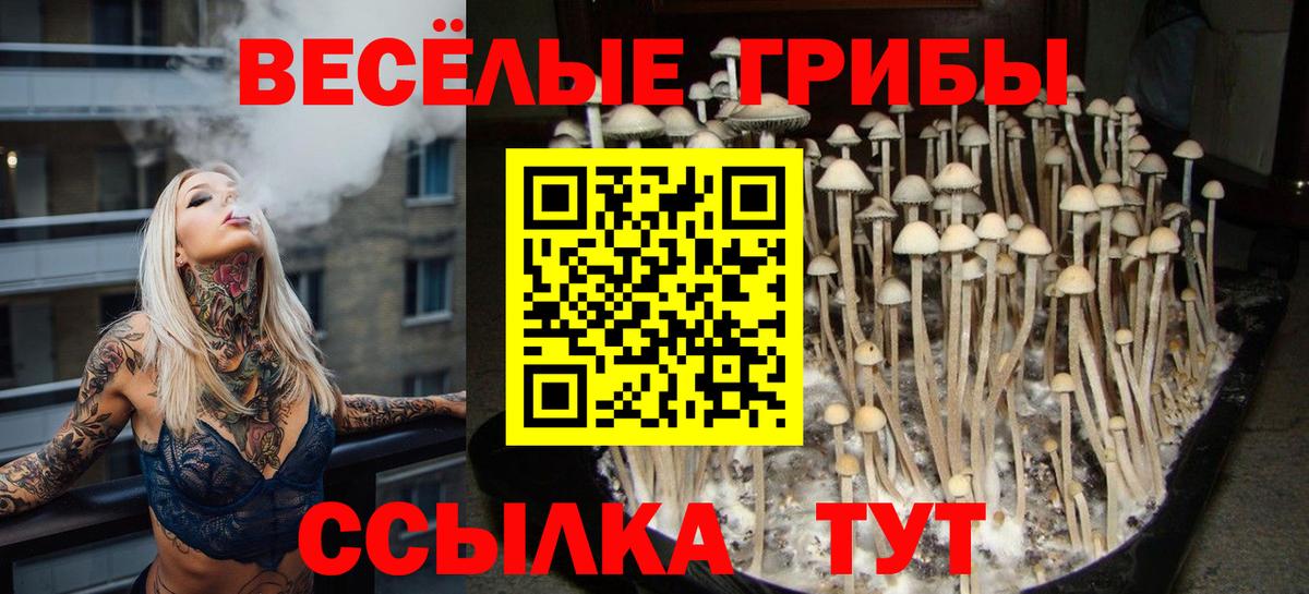 Галлюциногенные грибы MAGIC MUSHROOMS Норильск