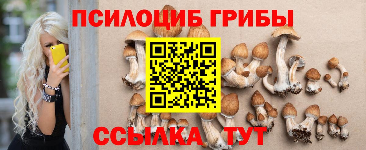Норильск  Галлюциногенные грибы MAGIC MUSHROOMS  Галлюциногенные грибы мухоморы  Вход с VPN 