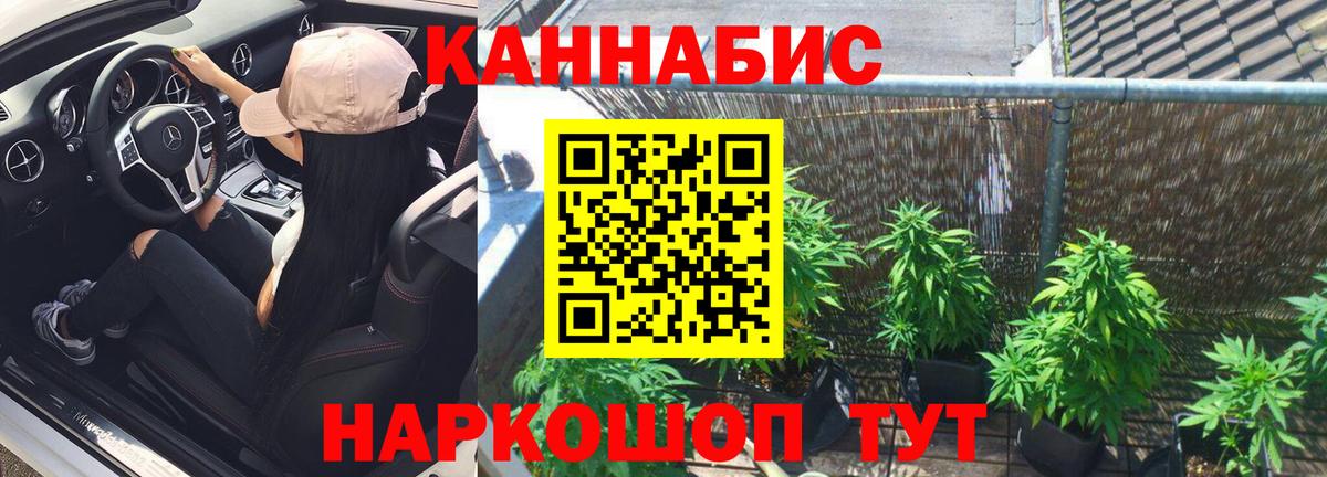 Норильск  Каннабис гибрид  Бошки Шишки OG Kush  Вход с VPN  МАРИХУАНА конопля  Конопля VHQ 